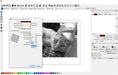 Lightburn user interface cat engraving